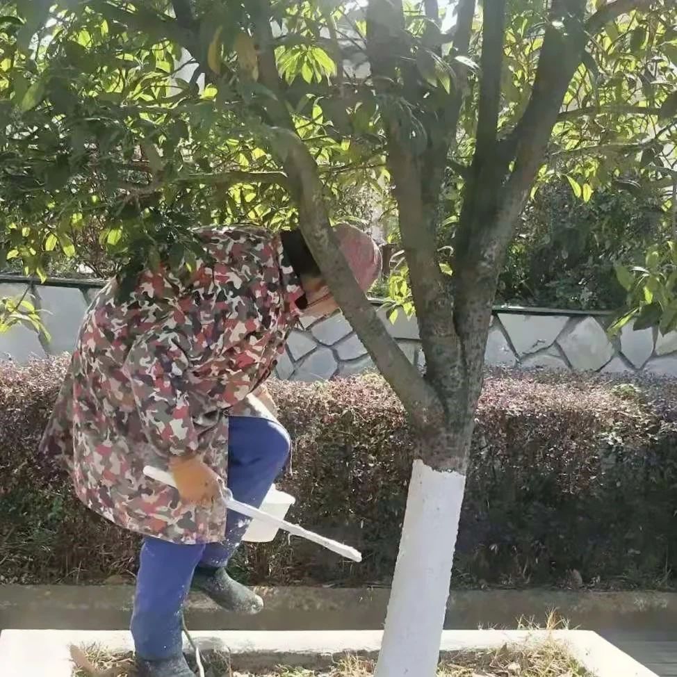 物业工作通告