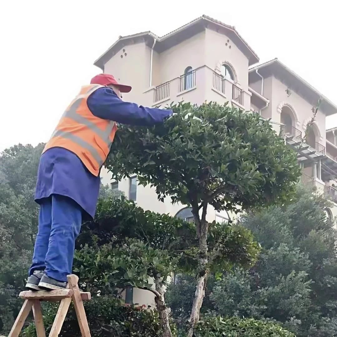 物业工作通告